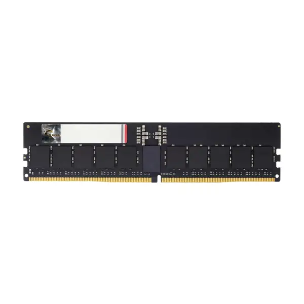 GSKILL DDR5 64GB 6400 (Single) ECC-REG (R-DIMM) 52-52-52-102 F5-6400R5252A64GX1-G5